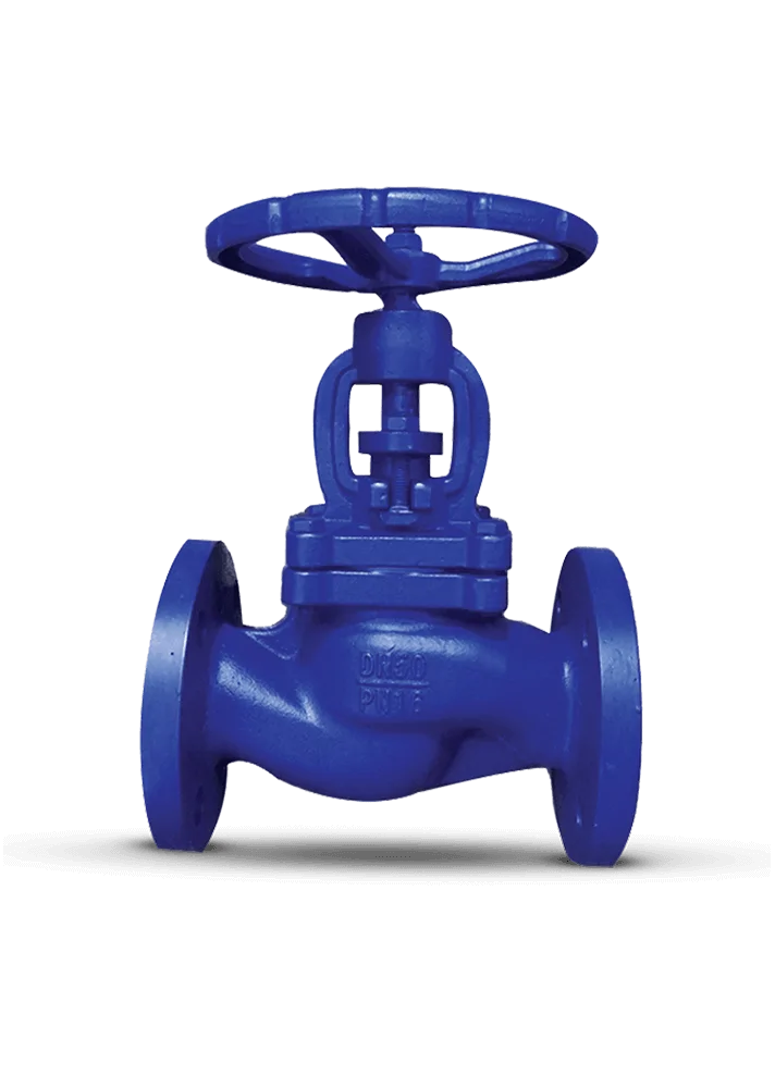 Globe Valves