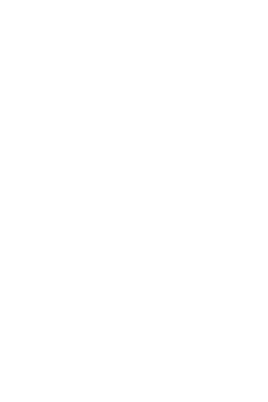 What is a Diaphragm Air Pump?